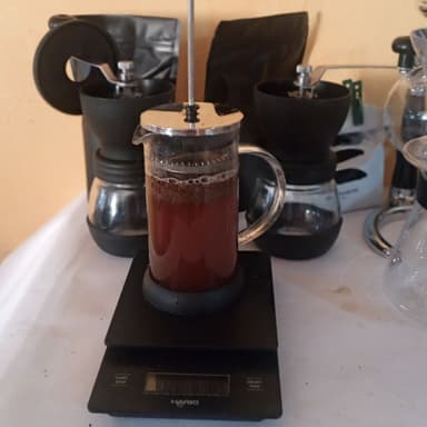 Prensa Francesa 300 ml