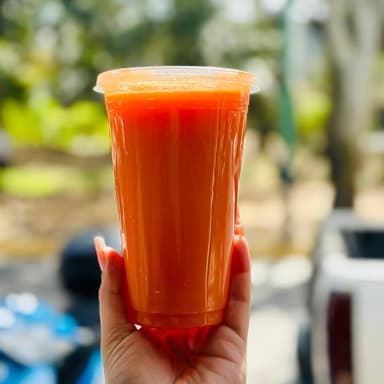 Jugo de Zanahoria 500 ml
