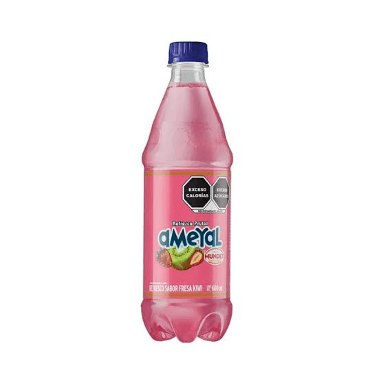 Ameyal Mundet 600ml
