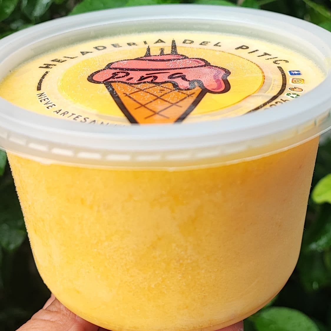 Mango 1/2 Lt *