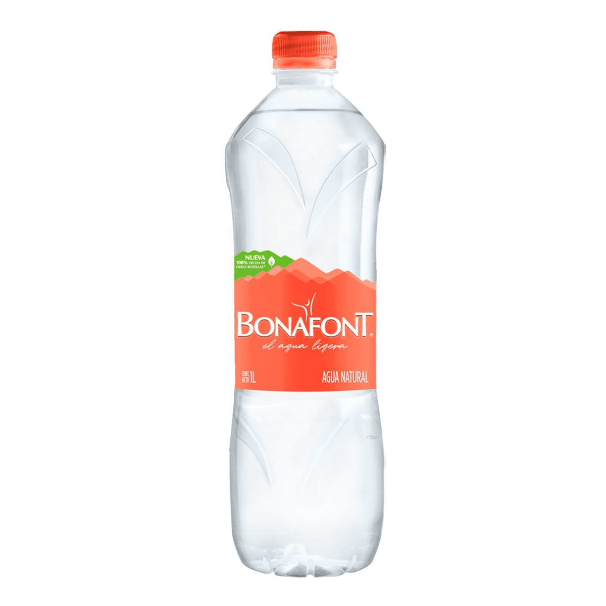 Agua embotellada 1 lt