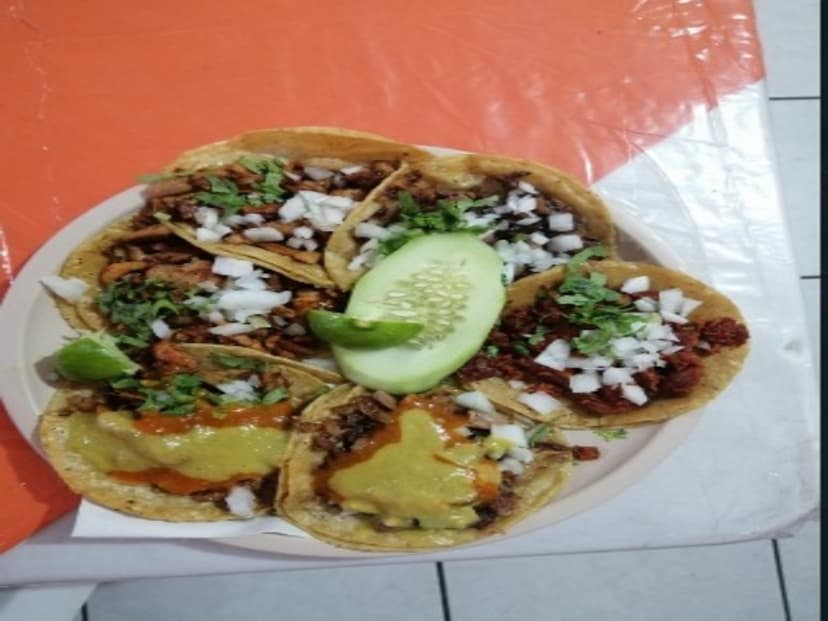 Taquería y Birria Ely