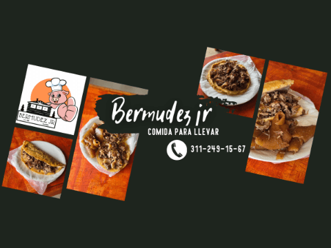 BERMUDEZ JR