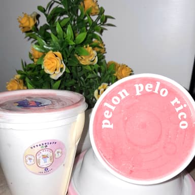 Helado Gourmet Pelon Pelo Rico