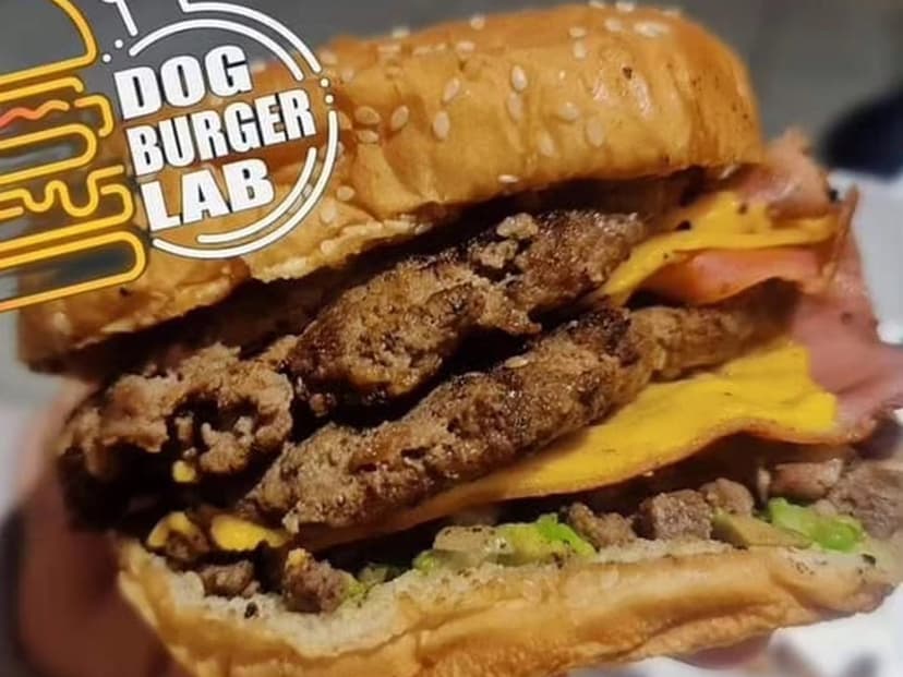 Dog Burger LAB