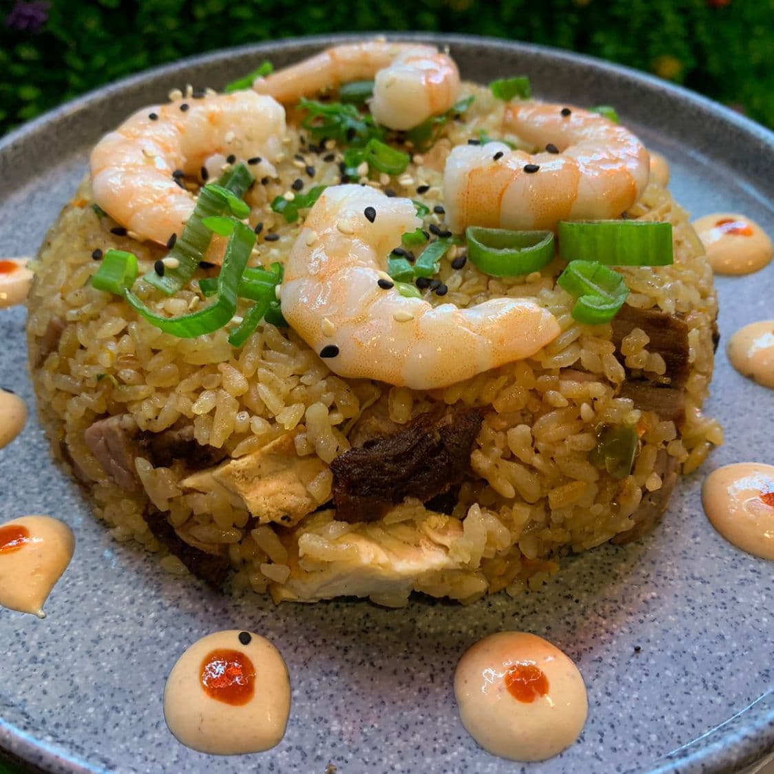 Yakimeshi Mixto