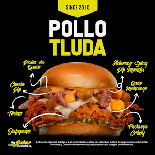 Pollotluda