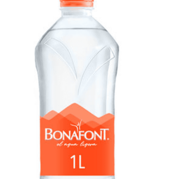 AGUA NATURAL 1 LT.