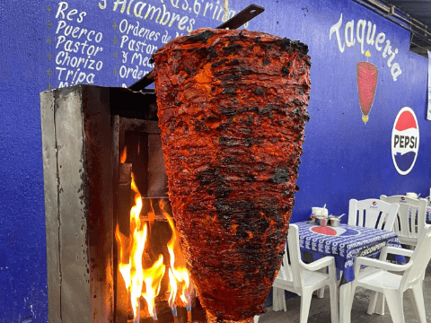 Taqueria Mauro