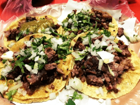 Tacos Leo