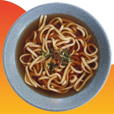 Kake Udon