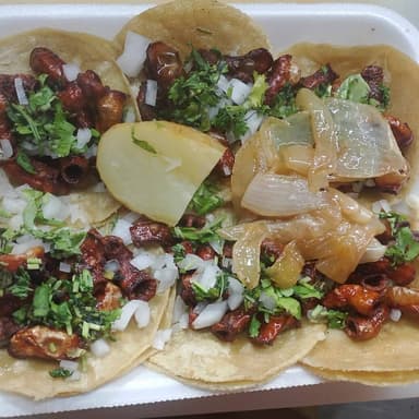 Tripa Dorada