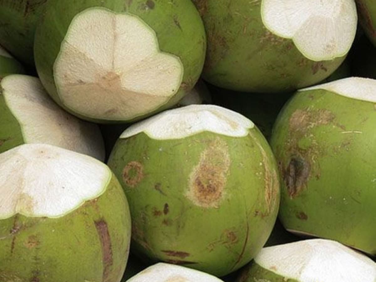 Cocos de Oro