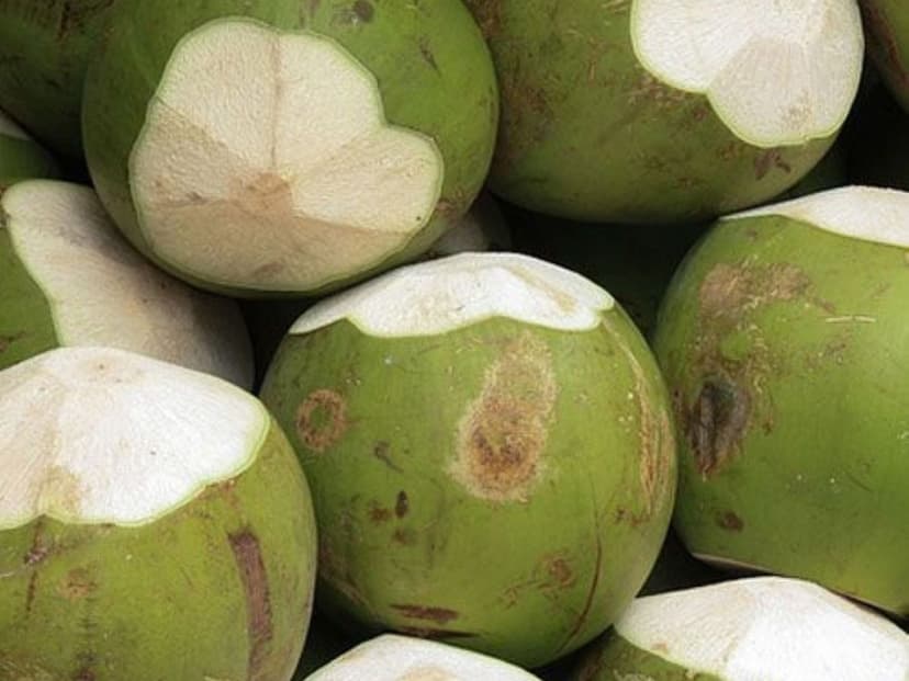 Cocos de Oro