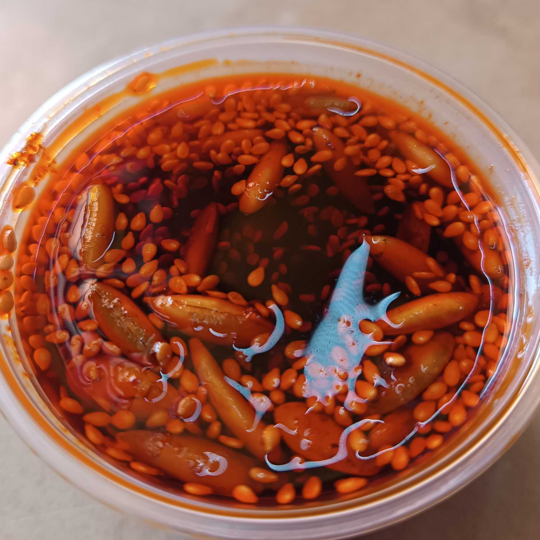 Salsa Macha