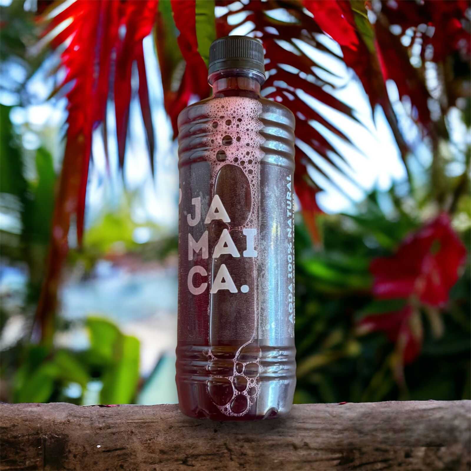 Agua de Jamaica