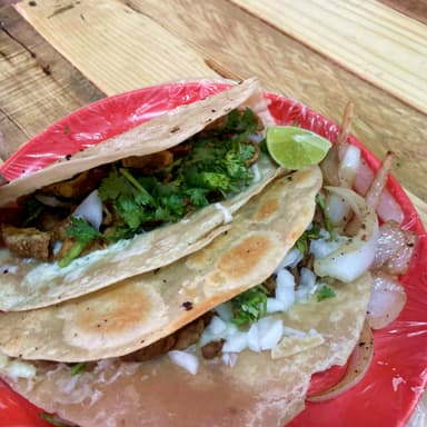 CAMPECHANO TRAGÓN