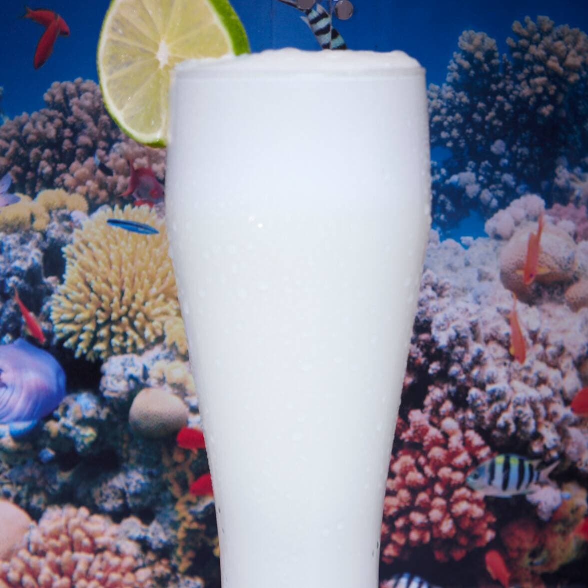 Limonada de Coco 12 oz