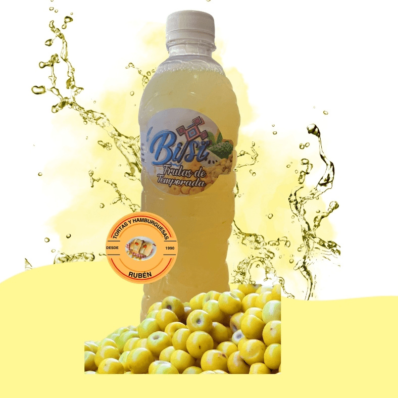 Agua de Nanche 500ml