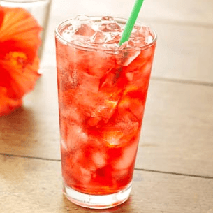 Té Helado de Frutos Rojos (16 oz)