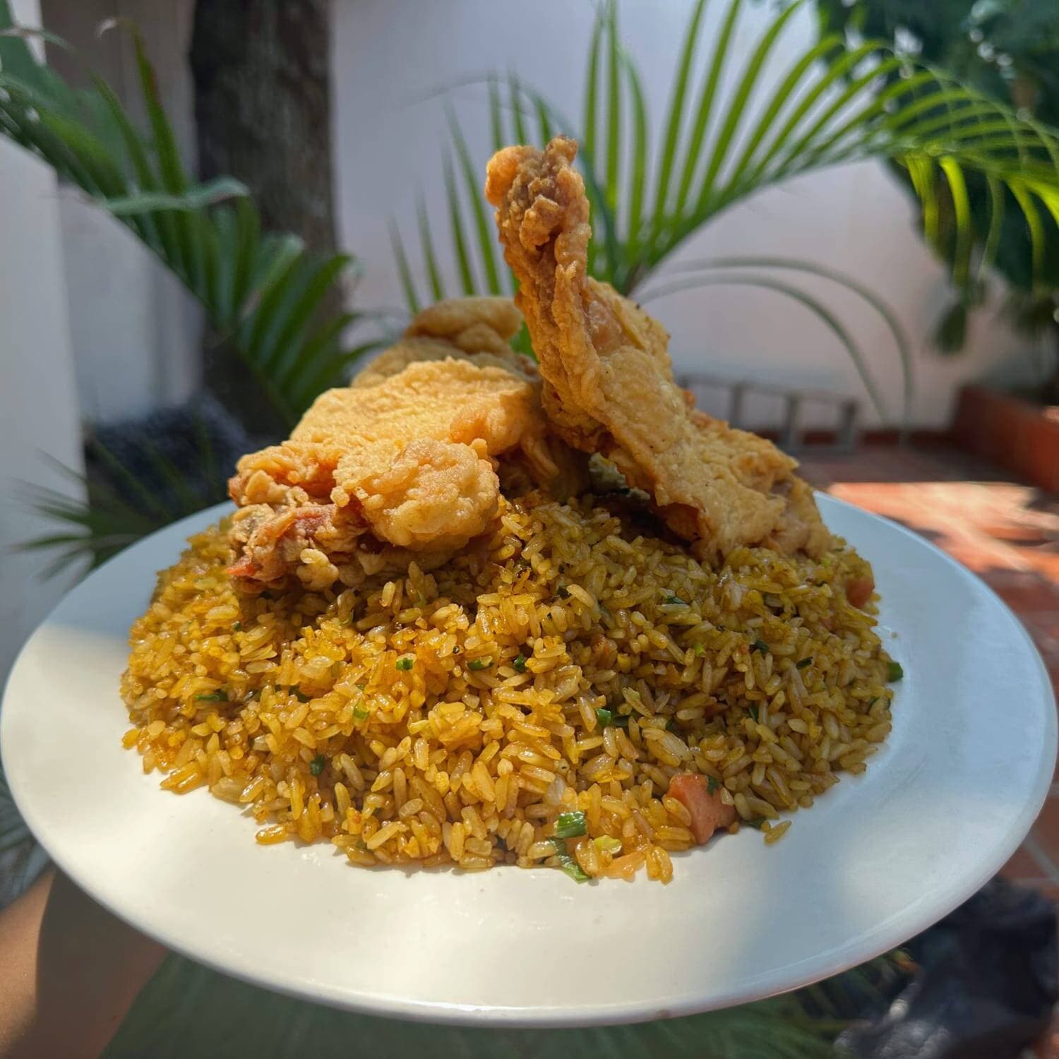 Valenciana Mediano