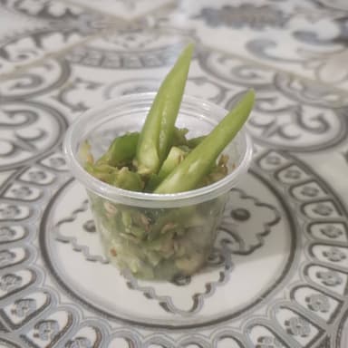 Serranito Picado