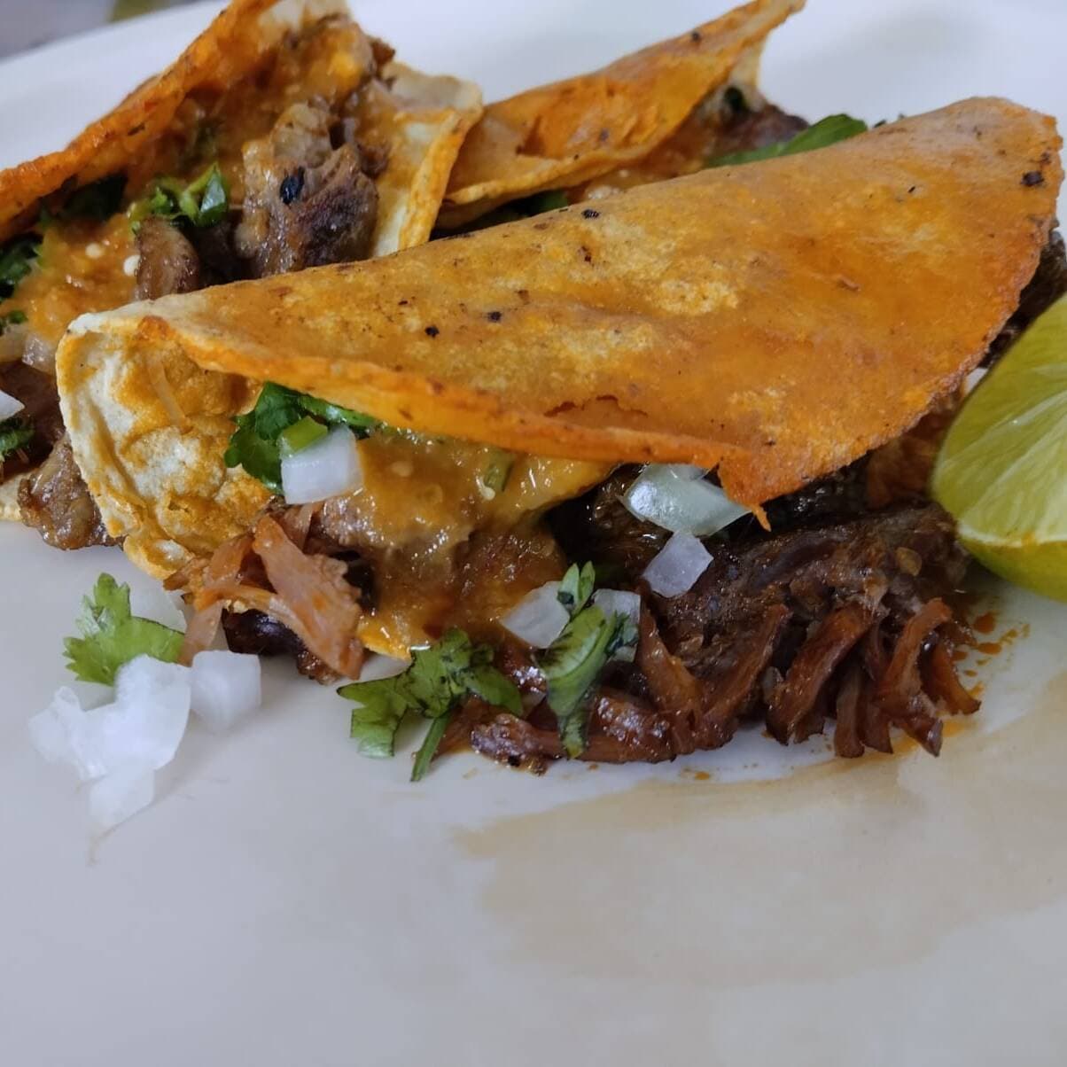 Quesabirria de Tortilla de Maíz