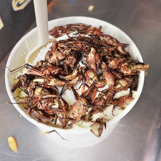 Esquites de Chapulines