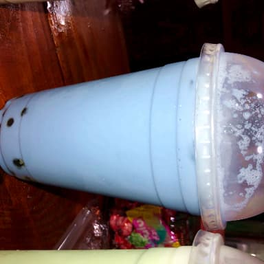 Boba Taro 21 Oz
