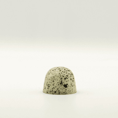 Galleta.