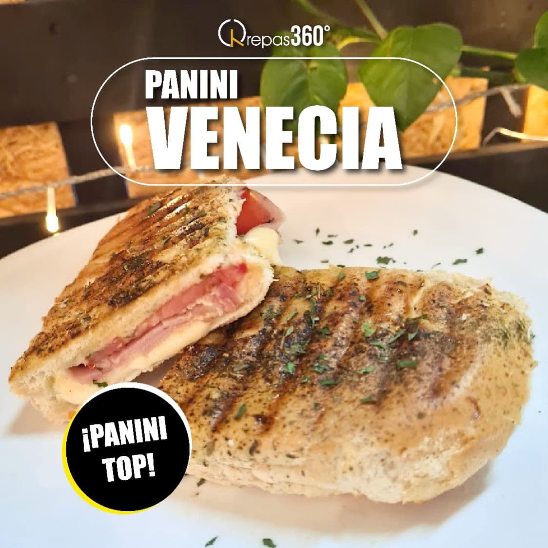 Panini Venecia