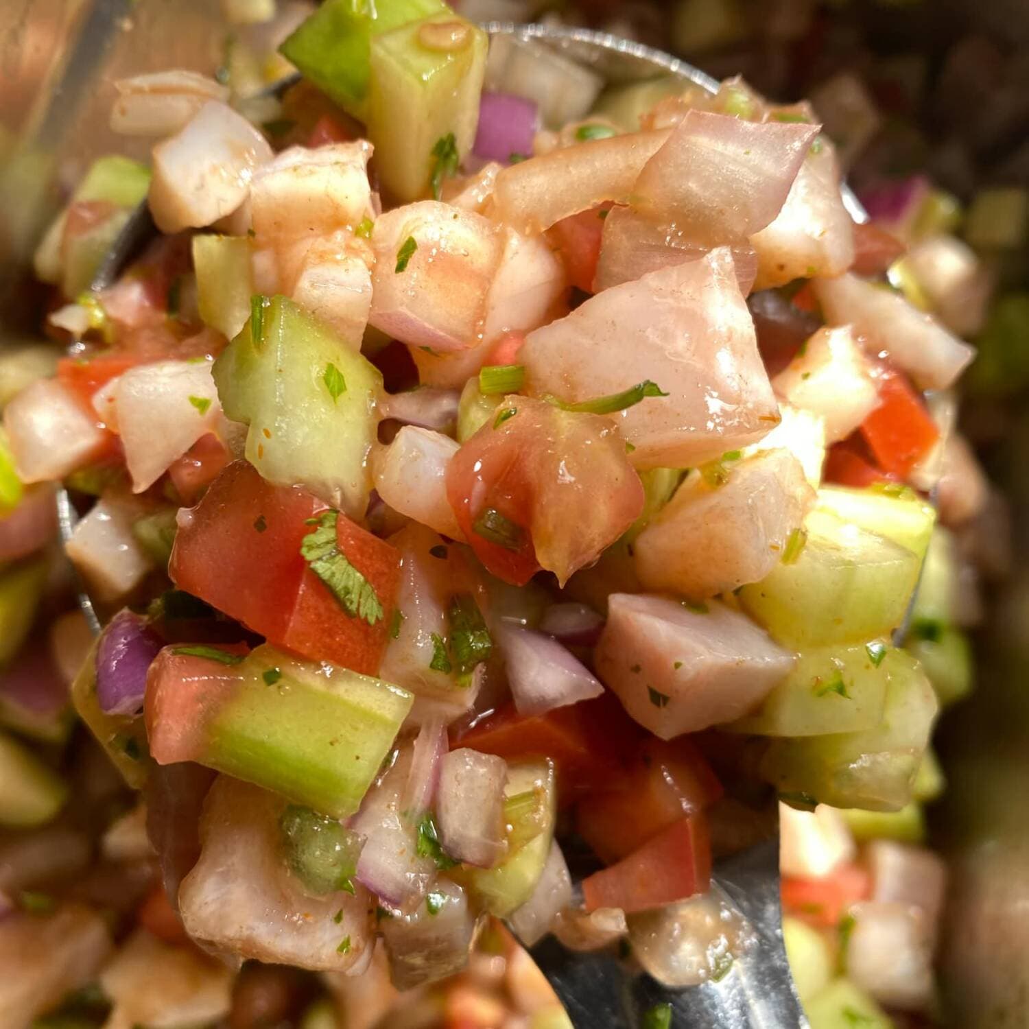 1L CEVICHE DE PESCADO