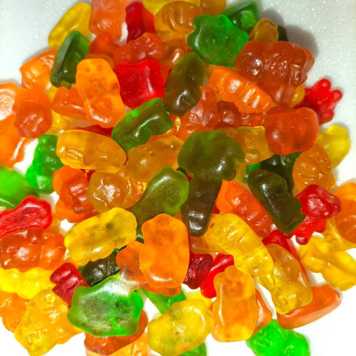 Panditas