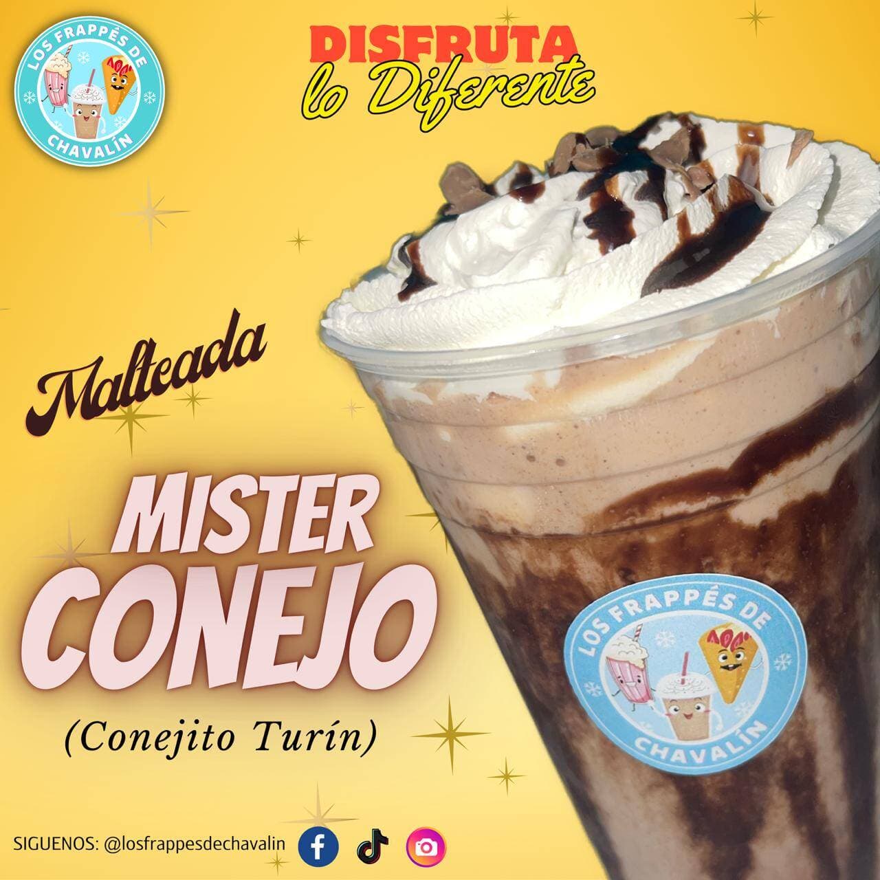 MISTER  CONEJO