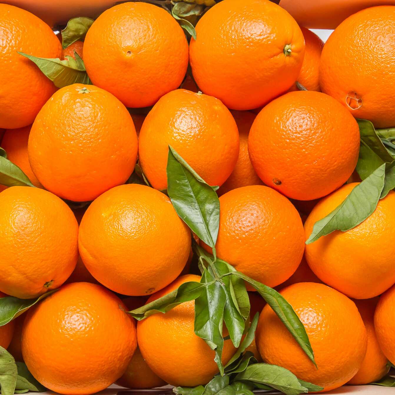 Kilo de Naranja