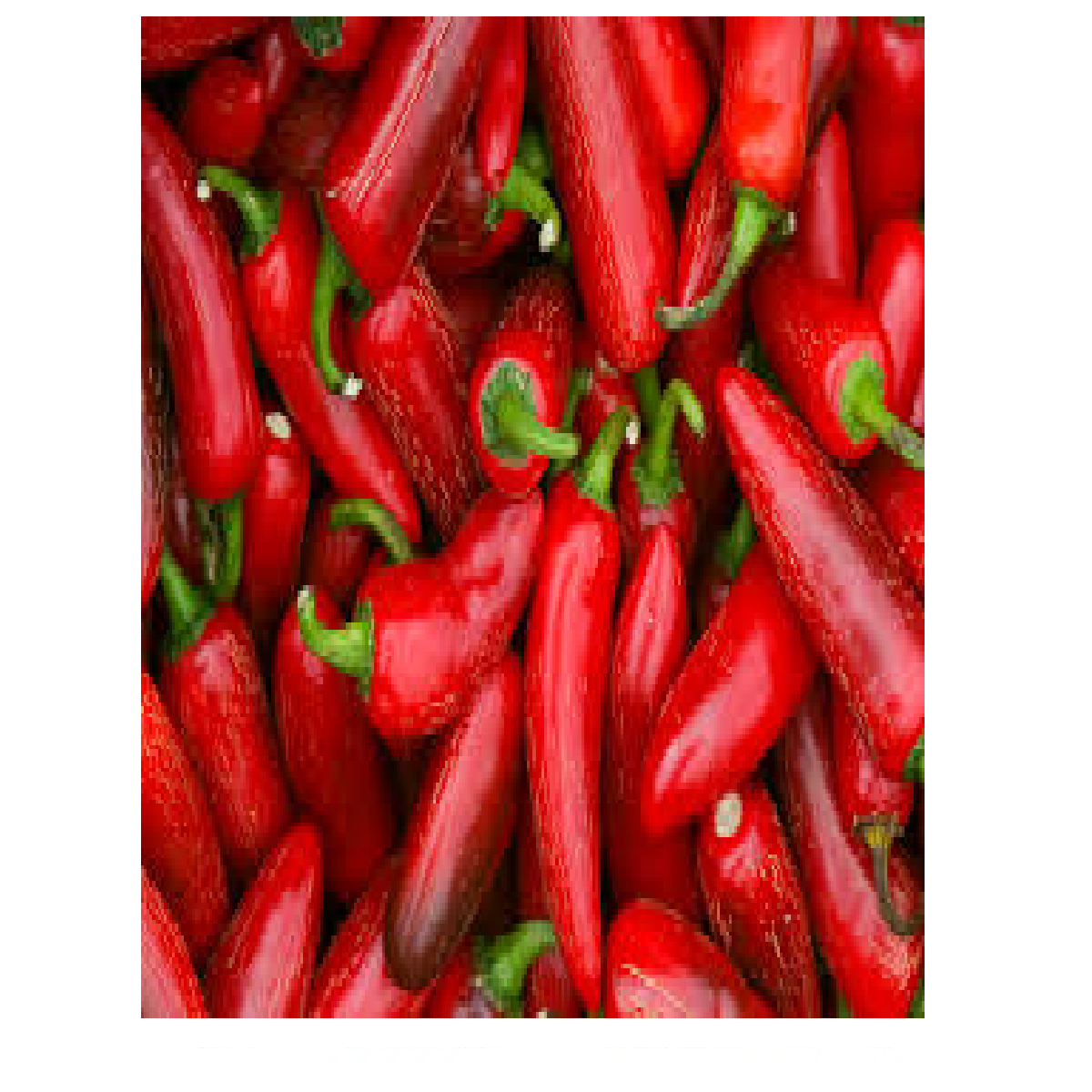 JALAPEÑO ROJO 250GR (Lo de a granel puede variar)