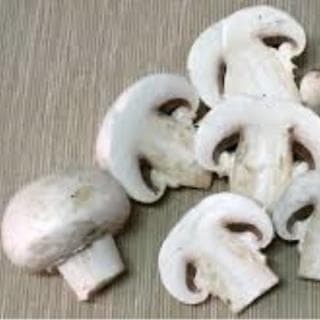 CHAMPIÑONES