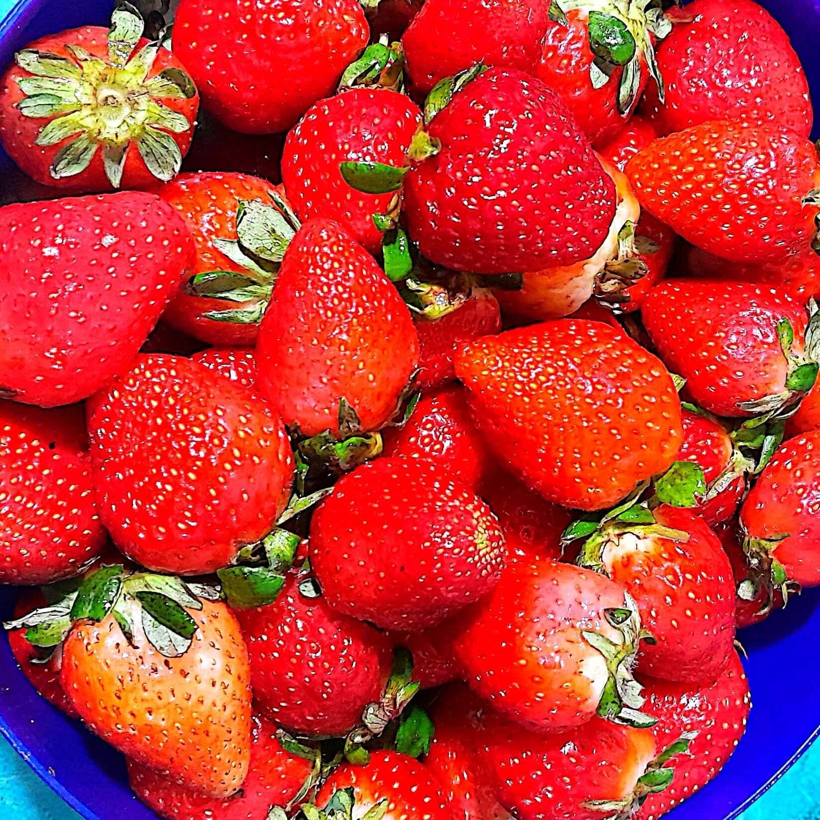 Charolita mini fresas con crema