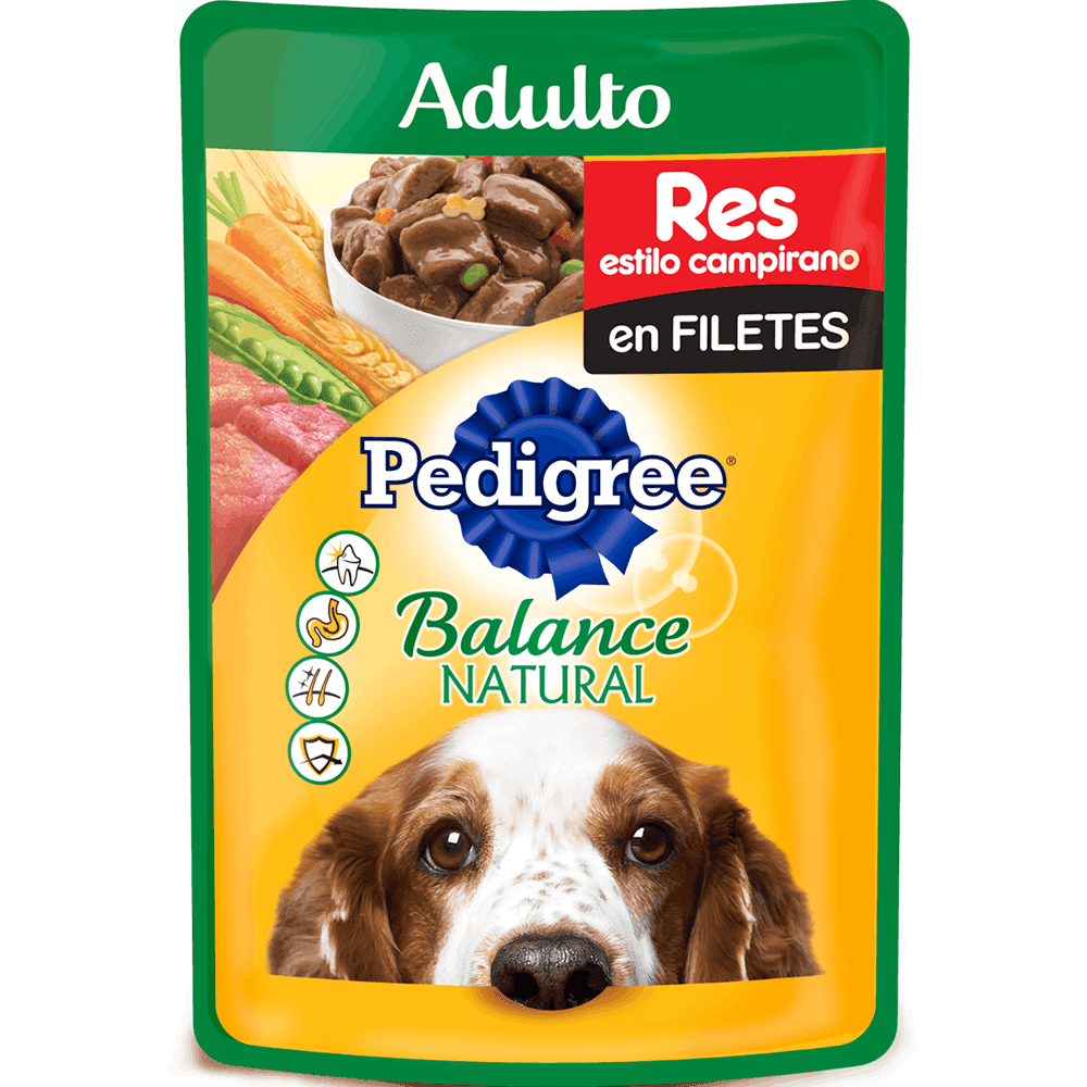 ALIMENTO P/PERRO POUCH CARNE JUGOSA 100G