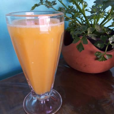 JUGO DE NARANJA ESPECIAL