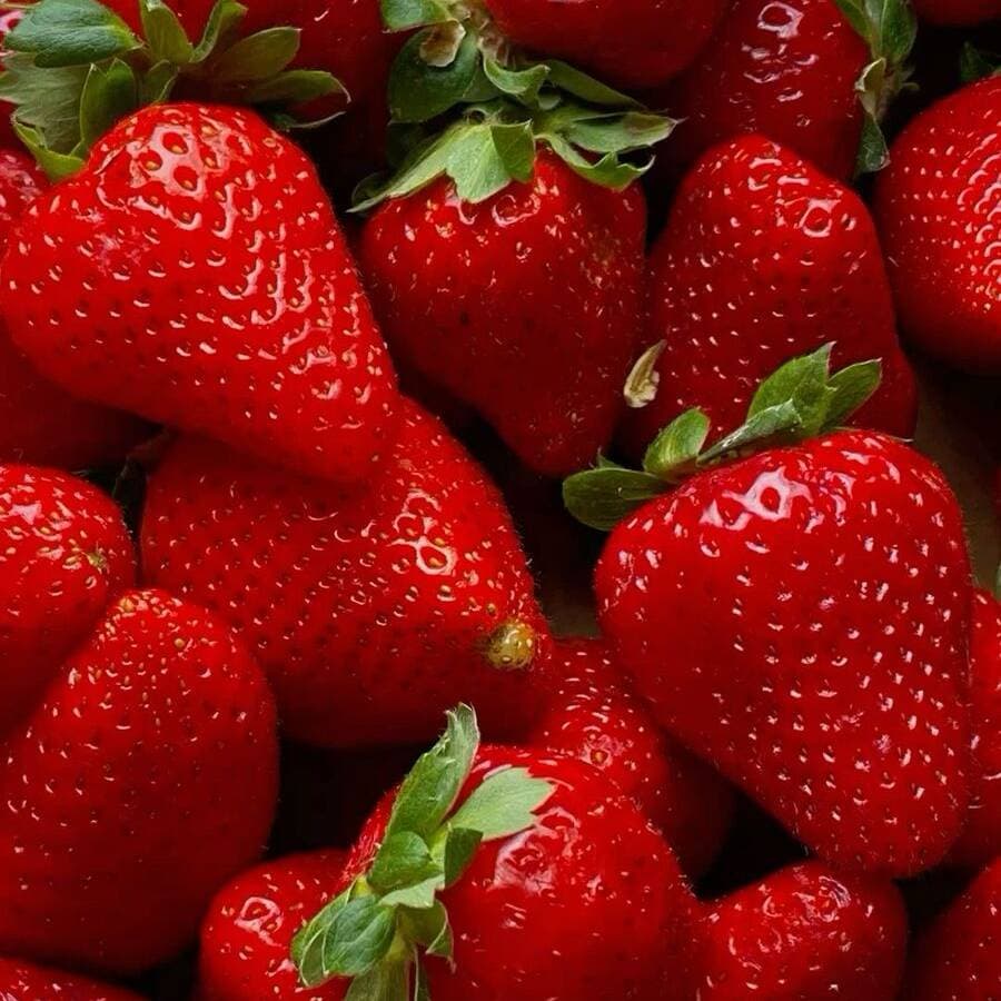 Fresas