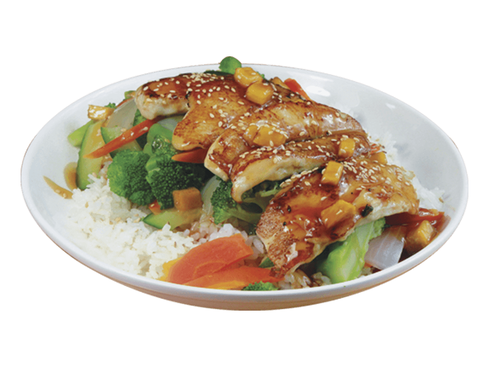 Teriyaki Especial