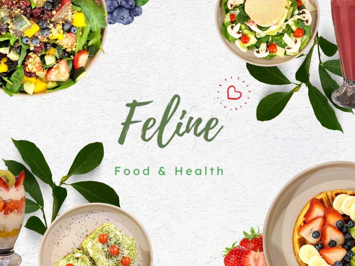 Feline, Food & Health (Suc. Plaza Carranza)