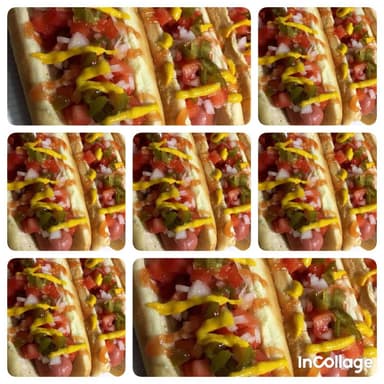 16 Dogos Promo