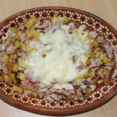 Mula Terca