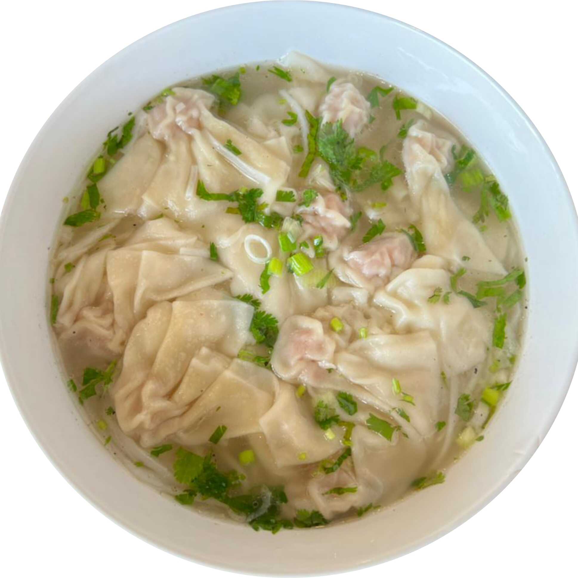 Wontón Sencillo