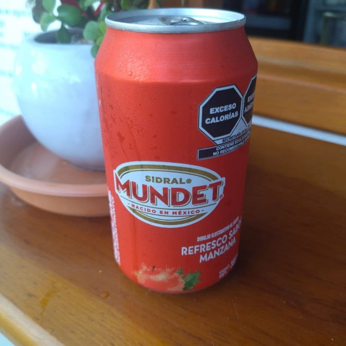 Sidral Mundet 350ml