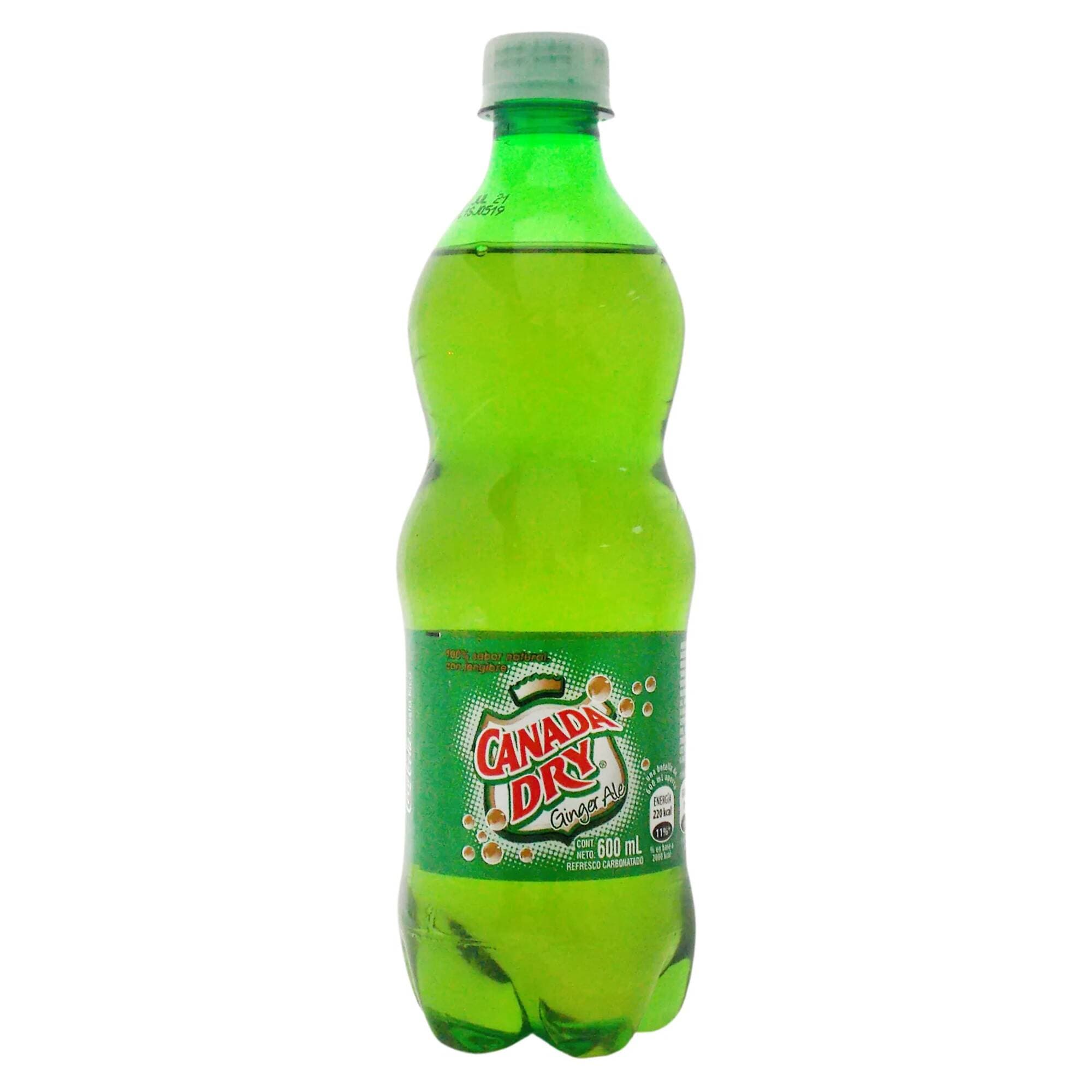 Ginger Ale 600ml