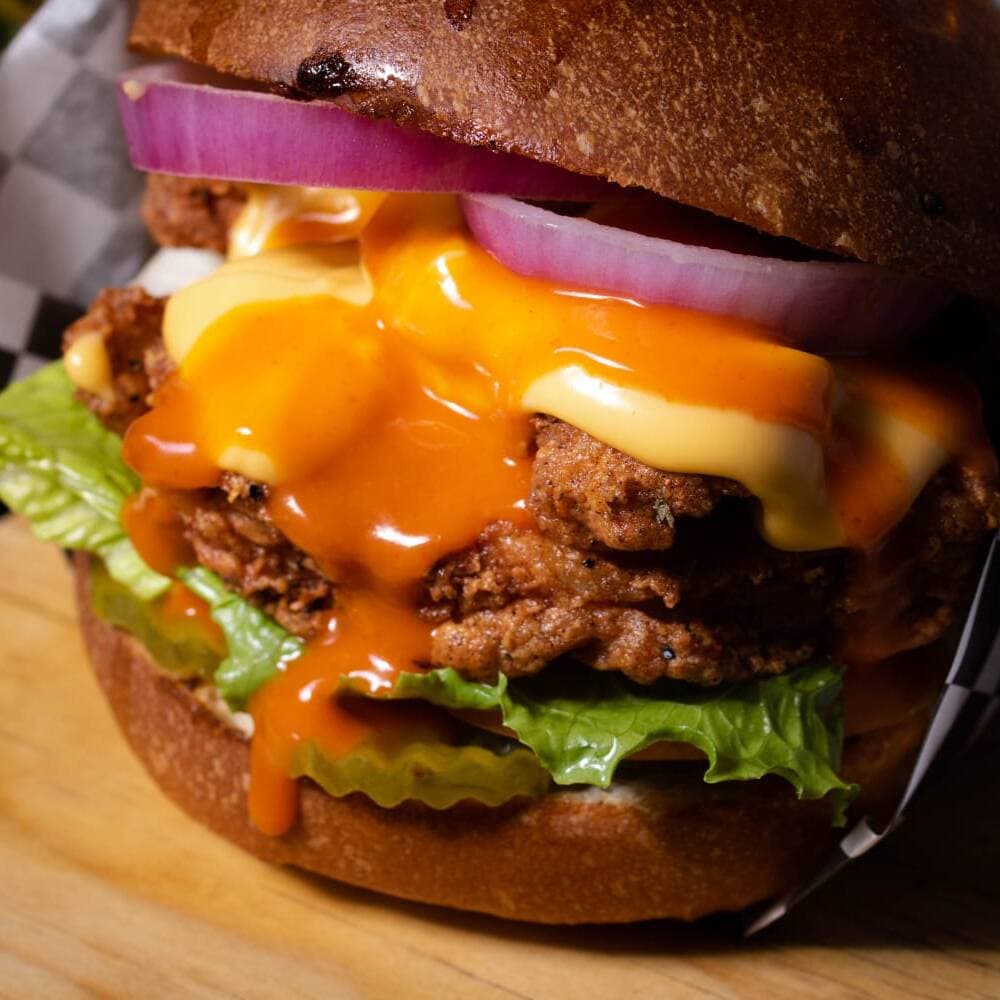 Pollo
