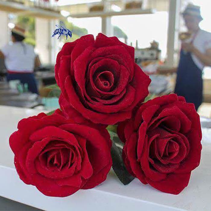 Rosa roja para enamorar